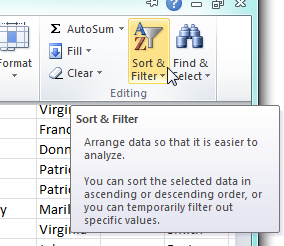 Screenshot of Spreadsheet Sort Filter