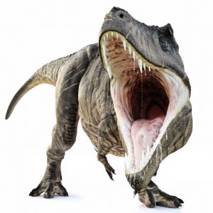 tyrannosaurus rex home care software